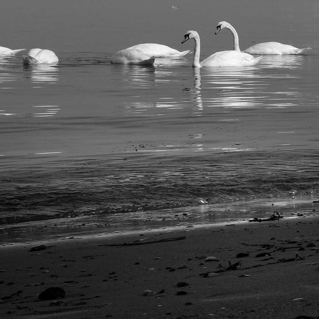 Ostsee Strand | Landschaftsfotografie | © Stephan Anlauf