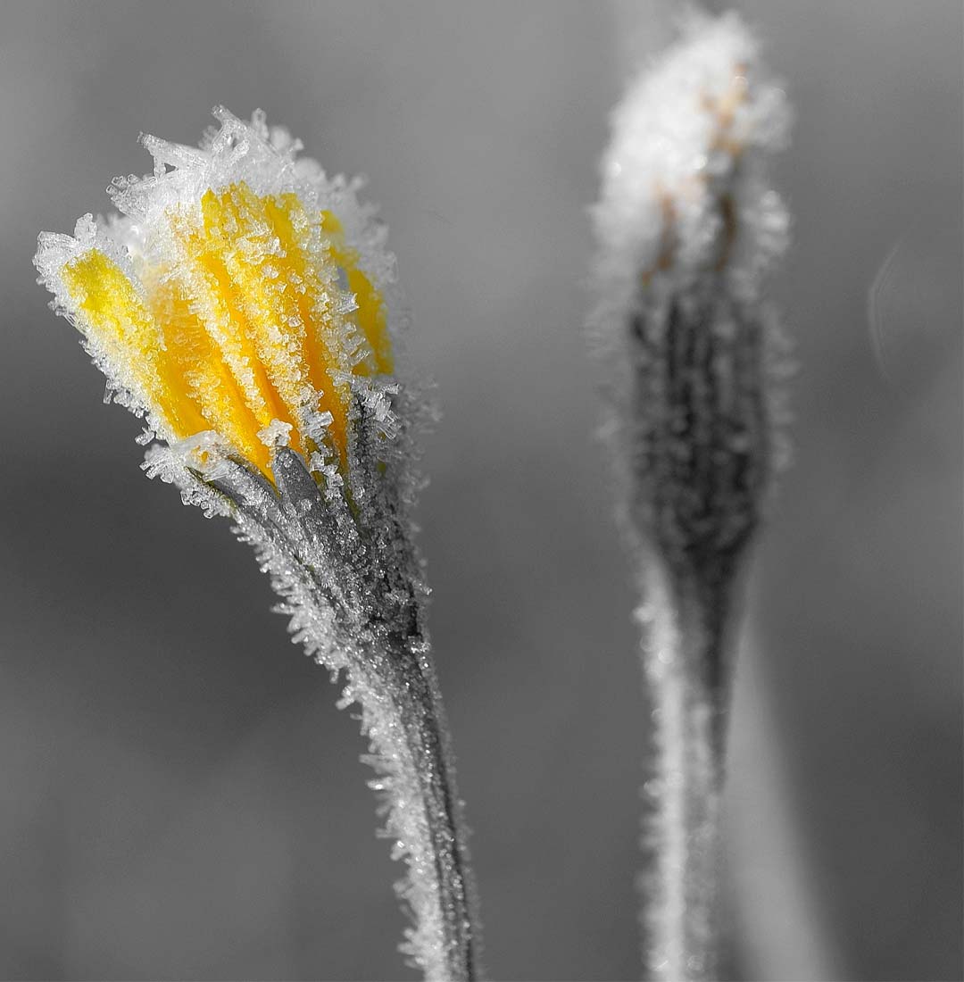 Amelinghausen | Landschaftsfotografie | © Stephan Anlauf