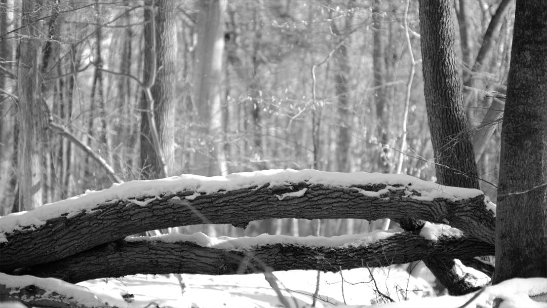 An den Mühlenteichen | Scharnebeck | Landschaftsfotografie | © Stephan Anlauf