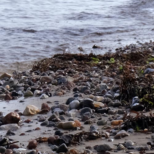 Ostsee Strand | Landschaftsfotografie | © Stephan Anlauf